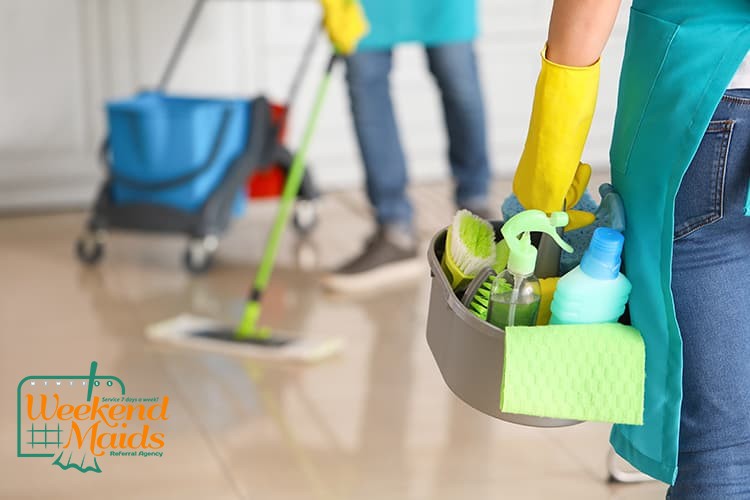 Domestic Maid Services