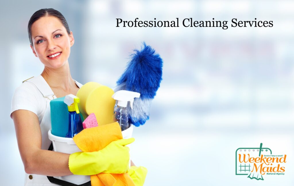 Professional Cleaning Services