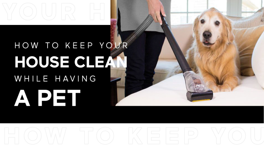 A man cleaning dog hair and dust on sofa with a dog sitting alongside.