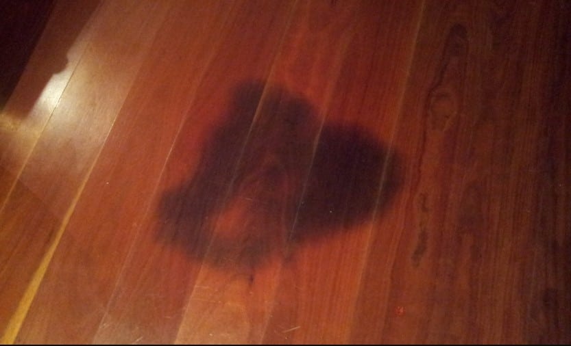 how to remove old urine stains from hardwood floors