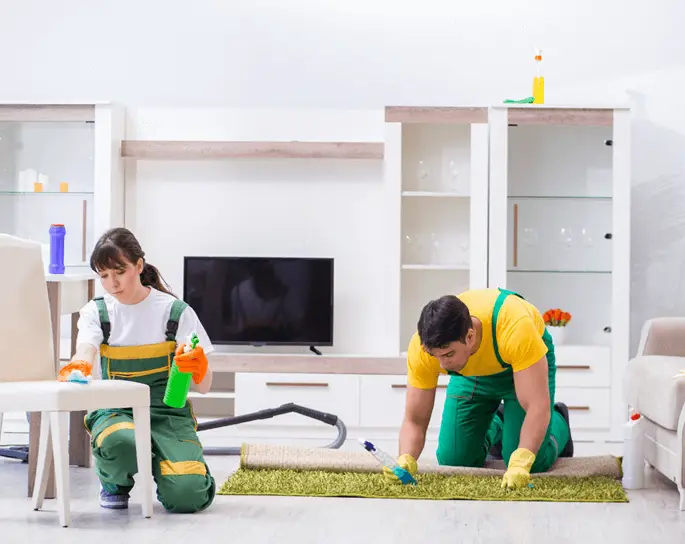 professional house cleaning services