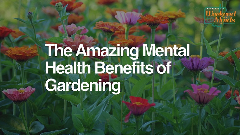 amazing mental health benefits of gardening