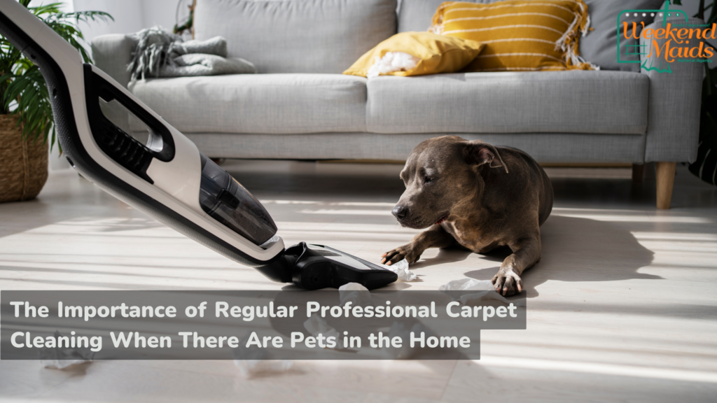 professional carpet cleaning