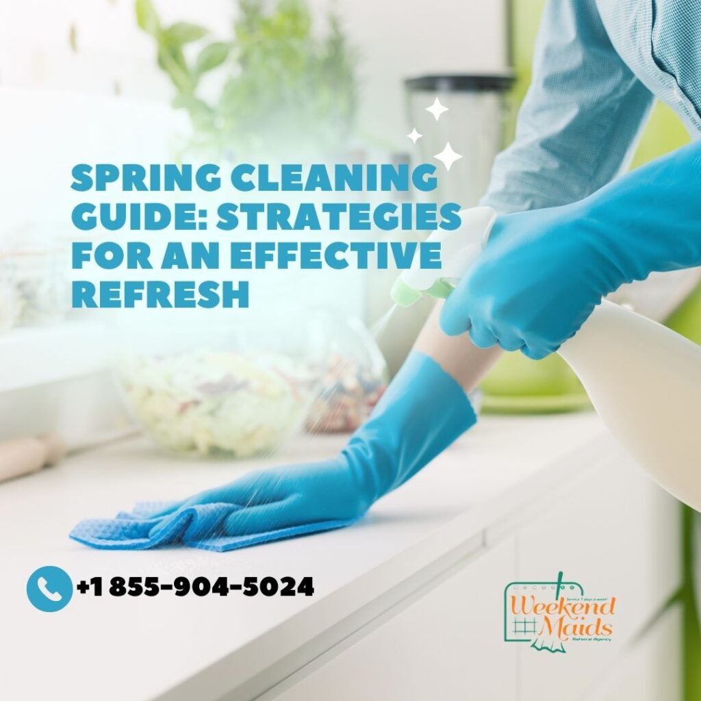 Spring house cleaning in San Diego